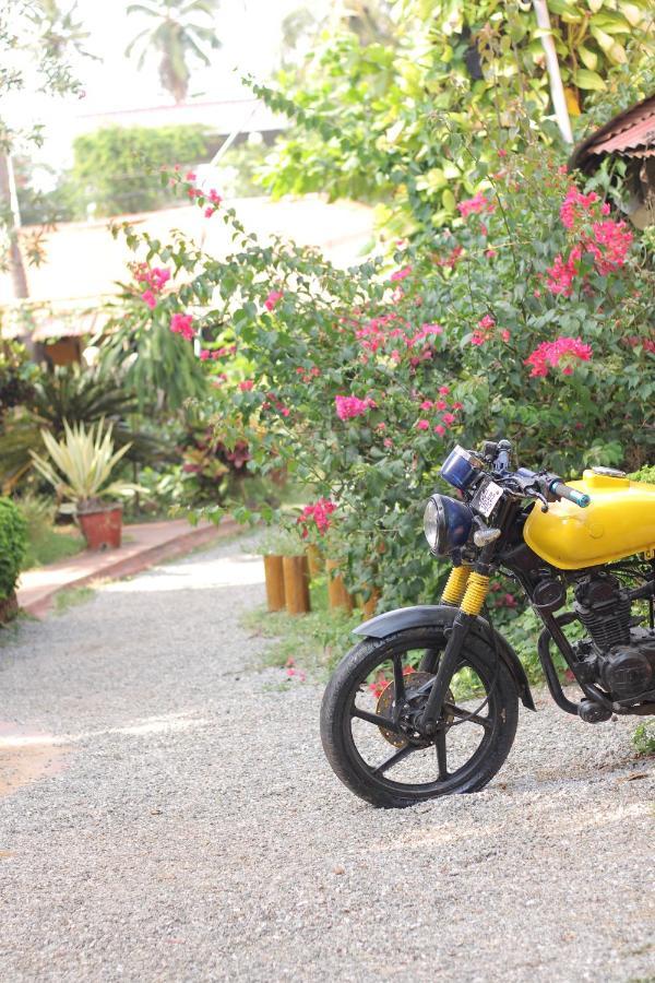 Kerala Bamboo House Hotel Varkala Eksteriør billede